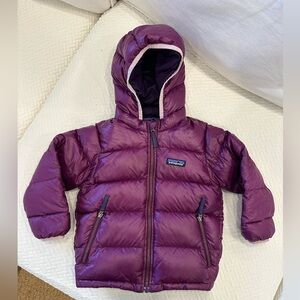Patagonia Hi-Loft Down Sweater Hoody